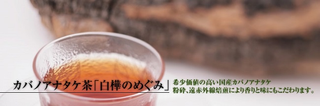 カバノアナタケ茶